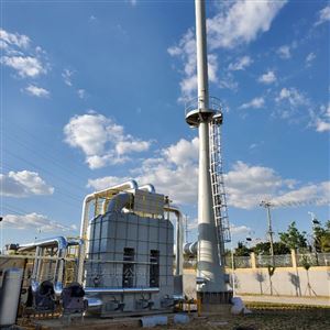 有机废气转轮+RTO工艺