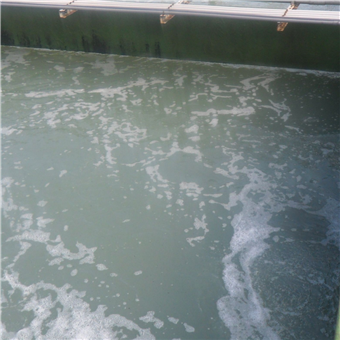 水解酸化池除臭