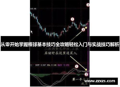 从零开始掌握棒球基本技巧全攻略轻松入门与实战技巧解析