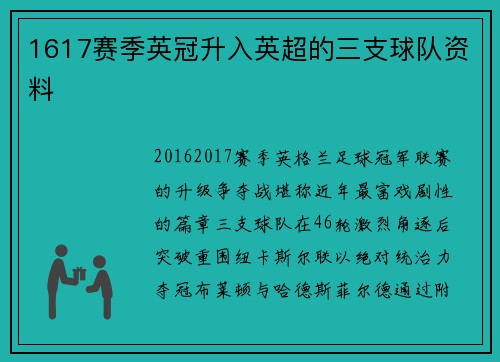 1617赛季英冠升入英超的三支球队资料