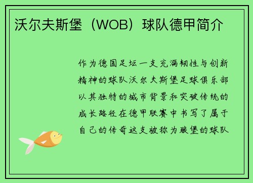 沃尔夫斯堡（WOB）球队德甲简介
