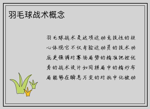 羽毛球战术概念